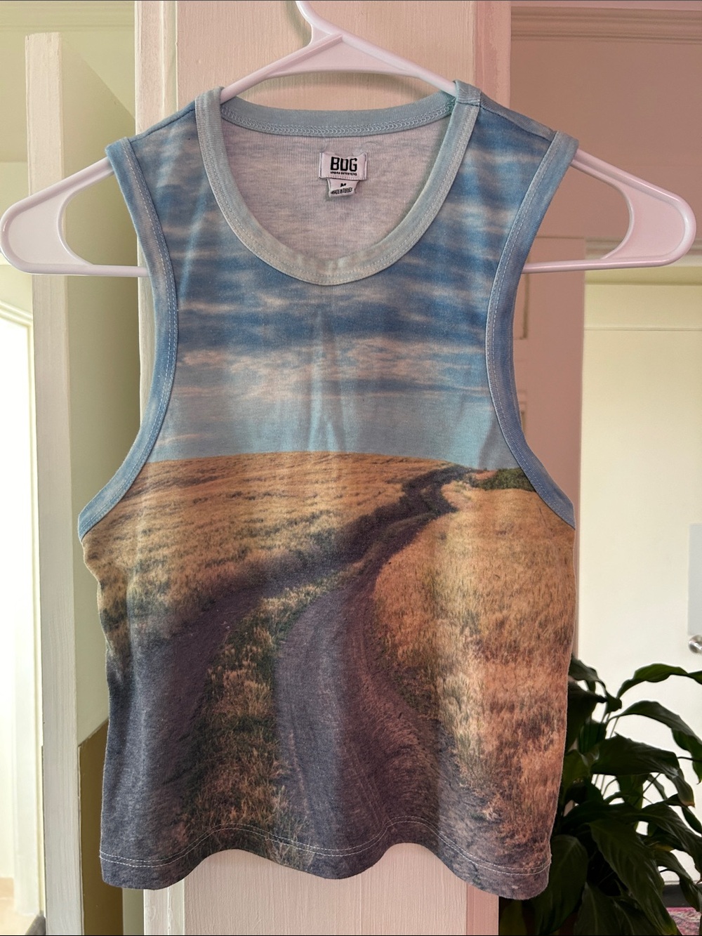 BDG road trip cropped tank